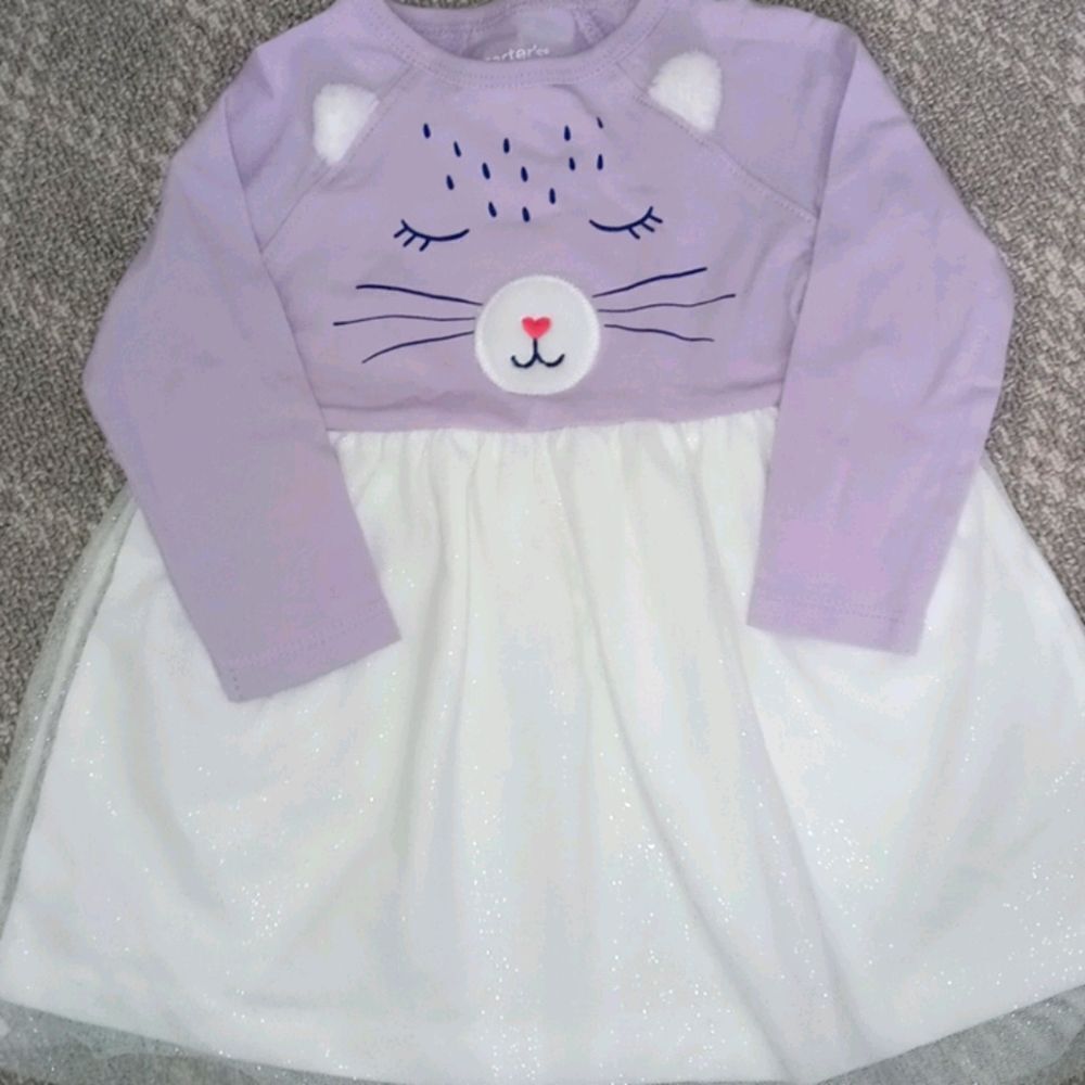Carter's dress size 9m
